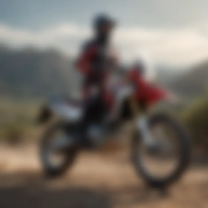Magnificent A Comprehensive Exploration of the Honda CRF300L