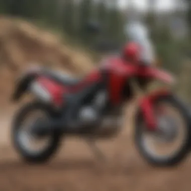 Notable A Comprehensive Exploration of the Honda CRF300L
