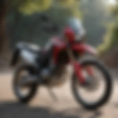 A Comprehensive Exploration of the Honda CRF300L Summary