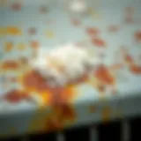 Natural Rust Removal with Vinegar and Baking Soda Vinegar and baking soda rust removal mixture