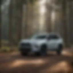 In-Depth Analysis of the 2019 Toyota RAV4 SE Introduction