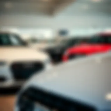 A lineup of used Audi vehicles in a Tampa dealership