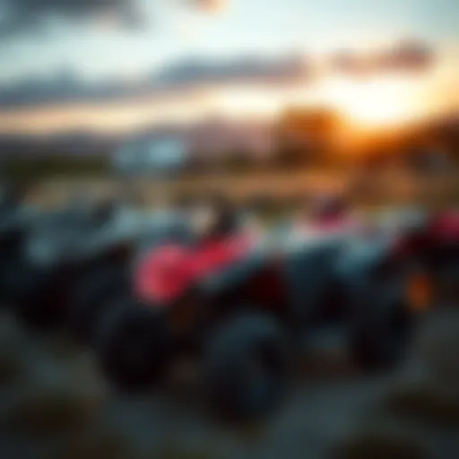 A variety of ATV motorbikes parked in a scenic outdoor environment