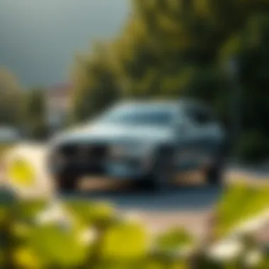 Volvo XE 60 in an eco-friendly environment